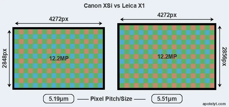 XSi versus X1 MP