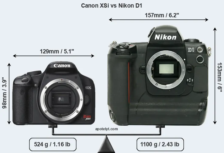 Size Canon XSi vs Nikon D1
