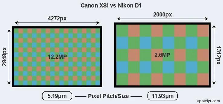 XSi versus D1 MP