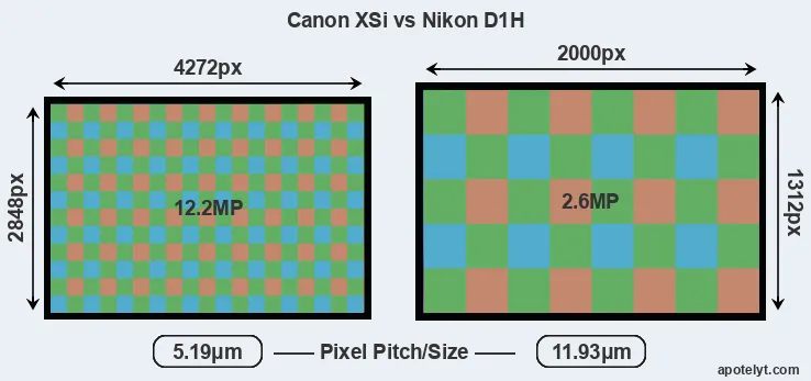 XSi versus D1H MP