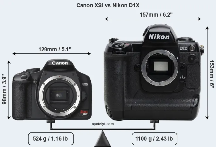 Size Canon XSi vs Nikon D1X