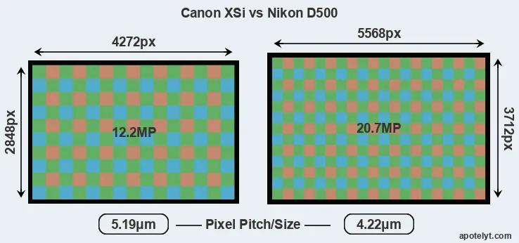 XSi versus D500 MP
