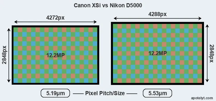 XSi versus D5000 MP