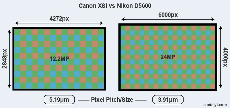 XSi versus D5600 MP
