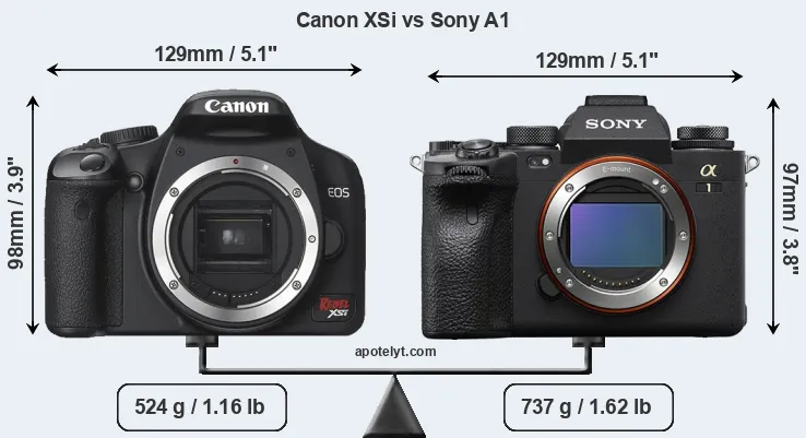 Size Canon XSi vs Sony A1