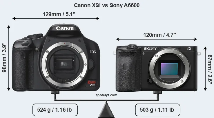 Size Canon XSi vs Sony A6600