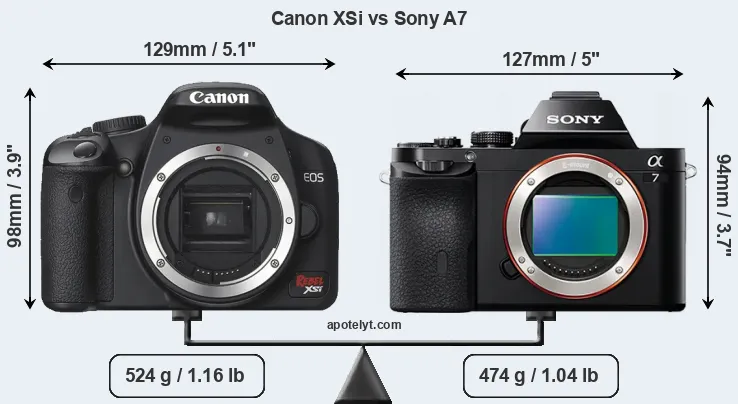 Size Canon XSi vs Sony A7