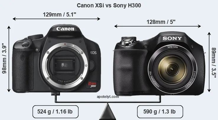 Size Canon XSi vs Sony H300