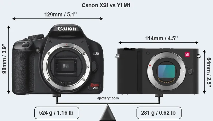 Size Canon XSi vs YI M1