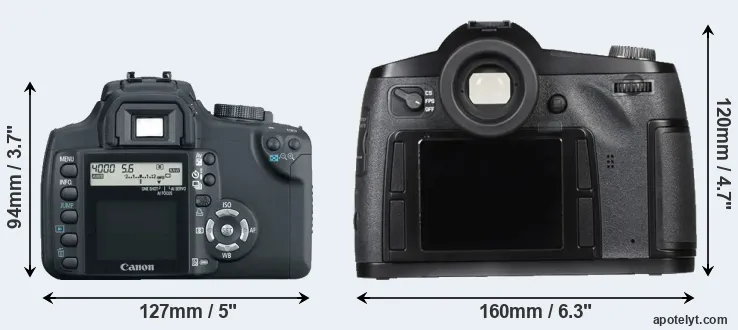 Comparison XT or S Typ 007 rear