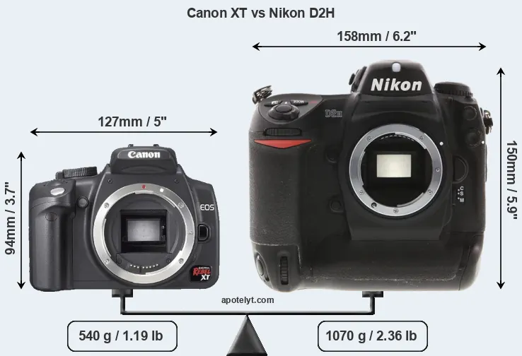 Size Canon XT vs Nikon D2H