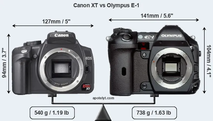 Size Canon XT vs Olympus E-1