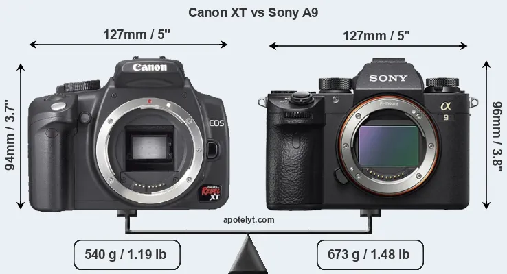 Size Canon XT vs Sony A9