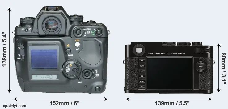 Comparison N Digital or M Typ 262 rear