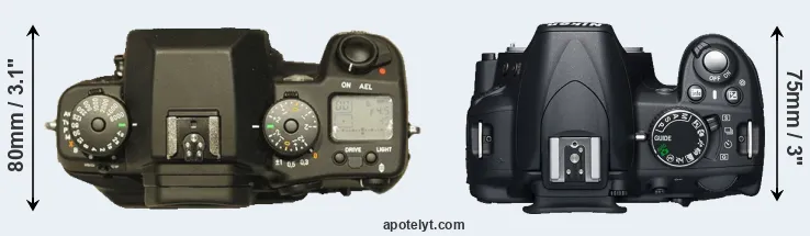 Compare N Digital versus D3100 top