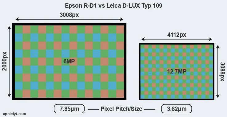 R-D1 versus D-LUX Typ 109 MP