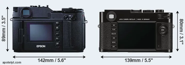 Comparison R-D1 or M Typ 262 rear