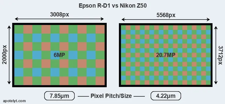 R-D1 versus Z50 MP