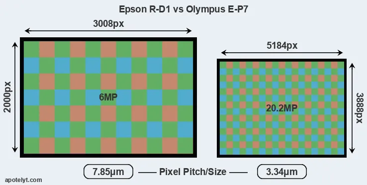 R-D1 versus E-P7 MP