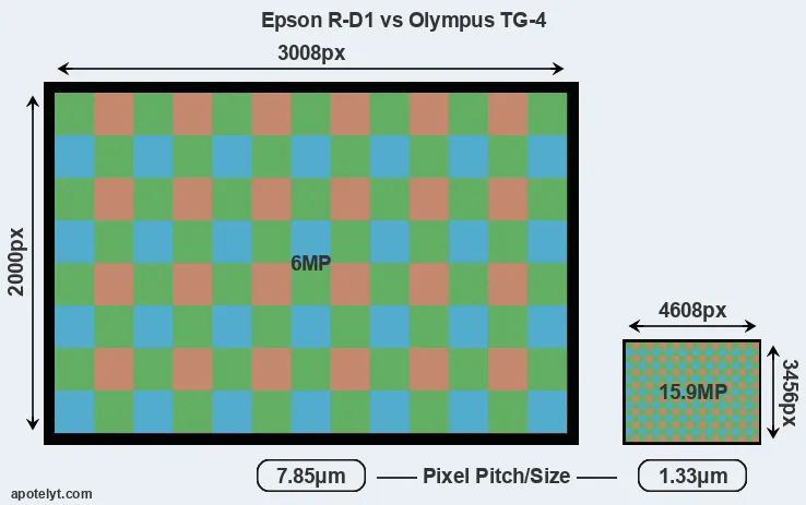 R-D1 versus TG-4 MP