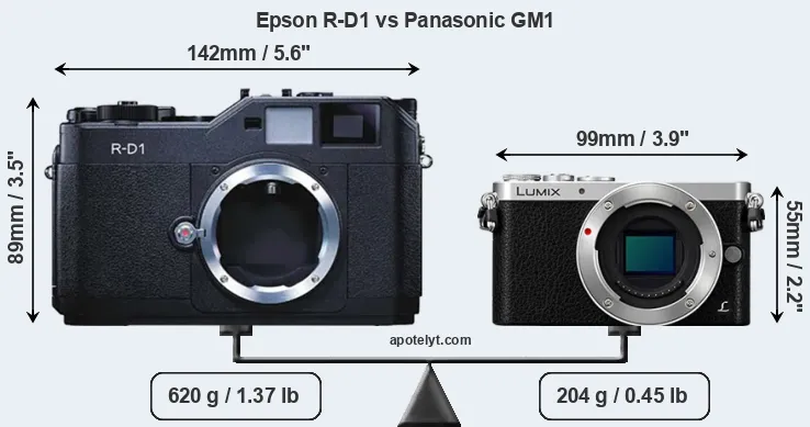 Size Epson R-D1 vs Panasonic GM1