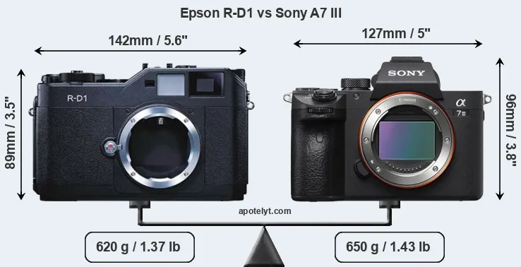 Size Epson R-D1 vs Sony A7 III