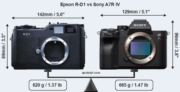 Size Epson R-D1 vs Sony A7R IV