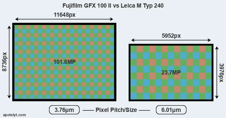 GFX 100 II versus M Typ 240 MP