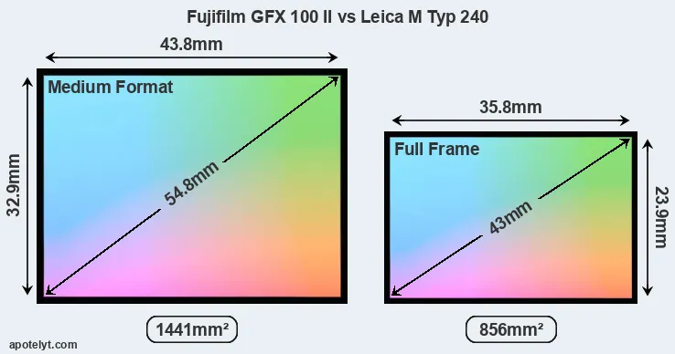 Fujifilm GFX 100 II and Leica M Typ 240 sensor measures