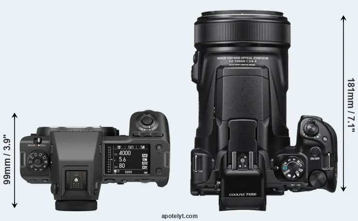 Compare GFX 100 II versus P1000 top
