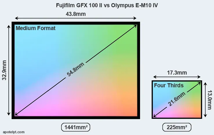 Fujifilm GFX 100 II and Olympus E-M10 IV sensor measures