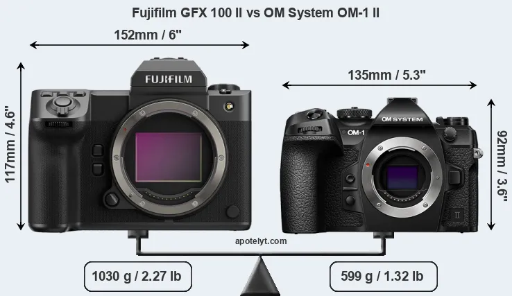 Size Fujifilm GFX 100 II vs OM System OM-1 II