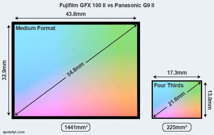 Fujifilm GFX 100 II and Panasonic G9 II sensor measures