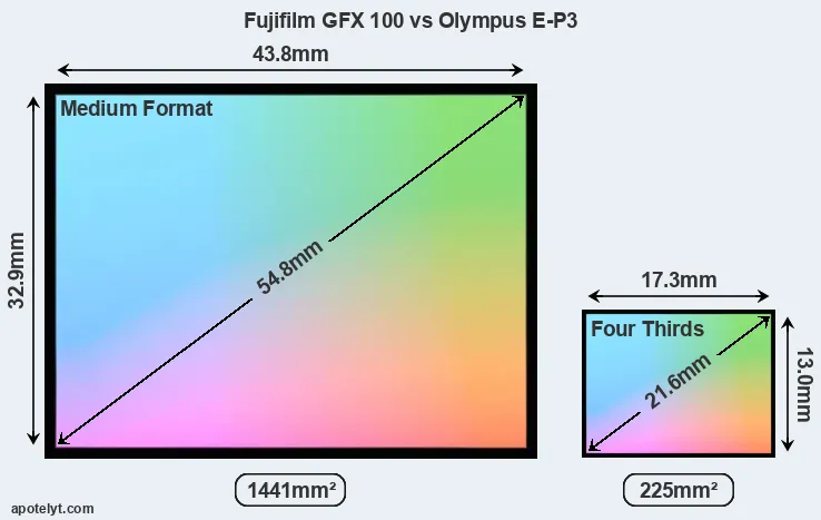 Fujifilm GFX 100 and Olympus E-P3 sensor measures