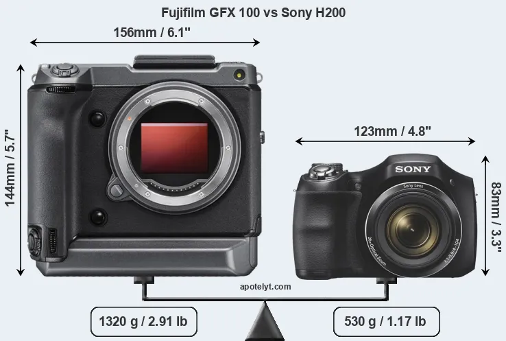 Size Fujifilm GFX 100 vs Sony H200