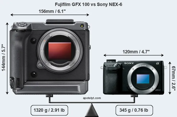 Size Fujifilm GFX 100 vs Sony NEX-6