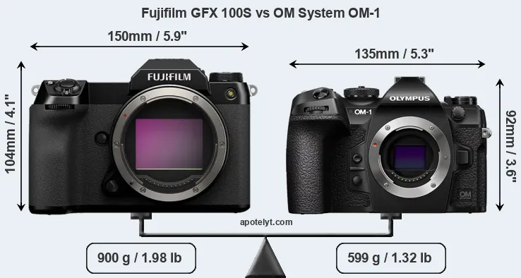 Size Fujifilm GFX 100S vs OM System OM-1