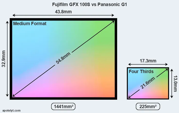 Fujifilm GFX 100S and Panasonic G1 sensor measures