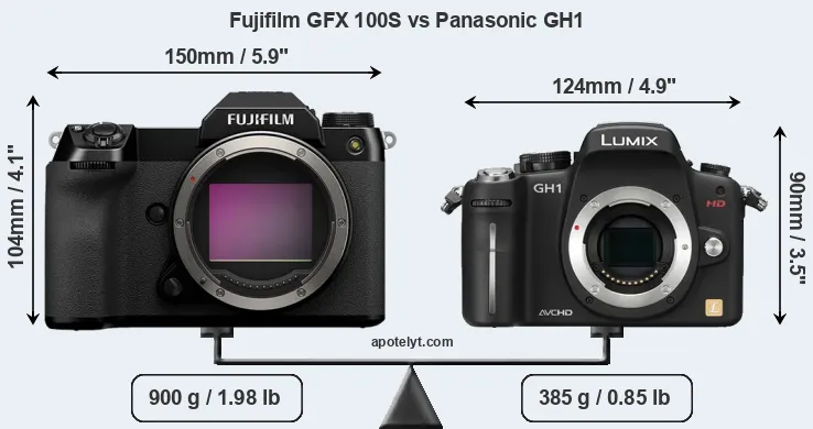 Size Fujifilm GFX 100S vs Panasonic GH1