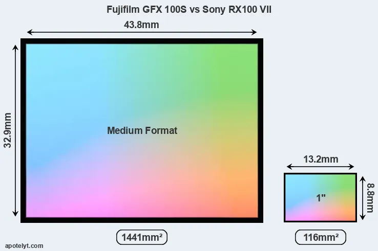 Fujifilm GFX 100S and Sony RX100 VII sensor measures