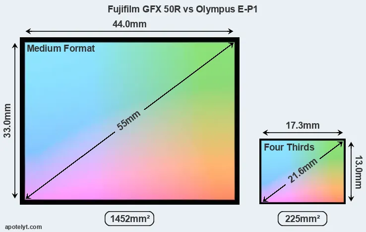 Fujifilm GFX 50R and Olympus E-P1 sensor measures