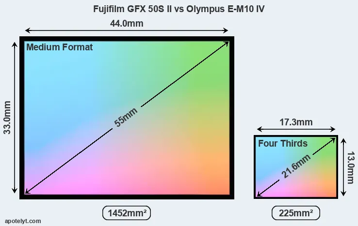 Fujifilm GFX 50S II and Olympus E-M10 IV sensor measures