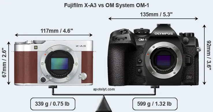 Size Fujifilm X-A3 vs OM System OM-1