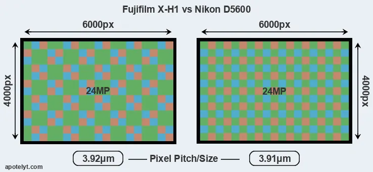 X-H1 versus D5600 MP