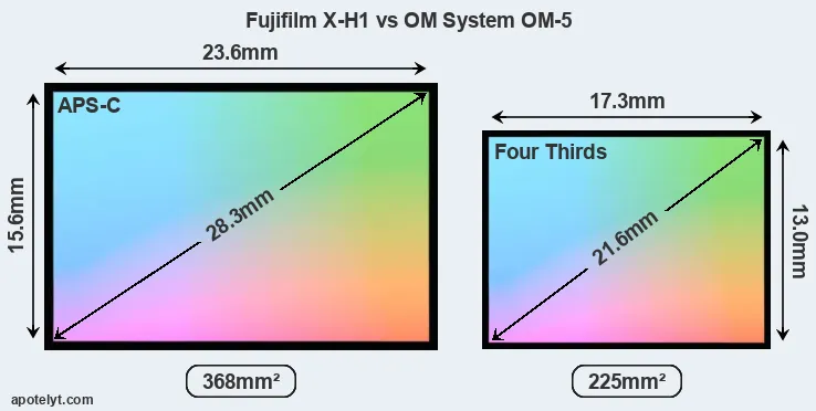 Fujifilm X-H1 and OM System OM-5 sensor measures