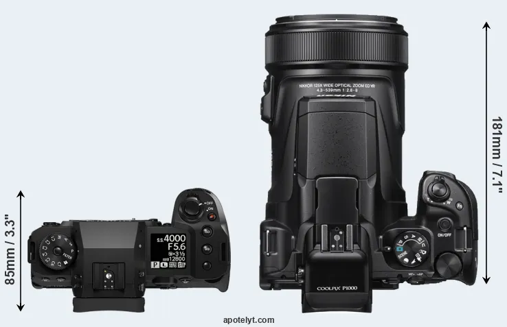 Compare X-H2 versus P1000 top