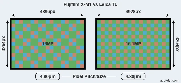 X-M1 versus TL MP