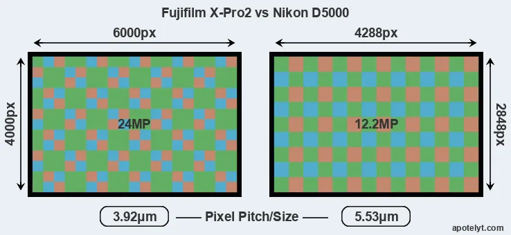 X-Pro2 versus D5000 MP