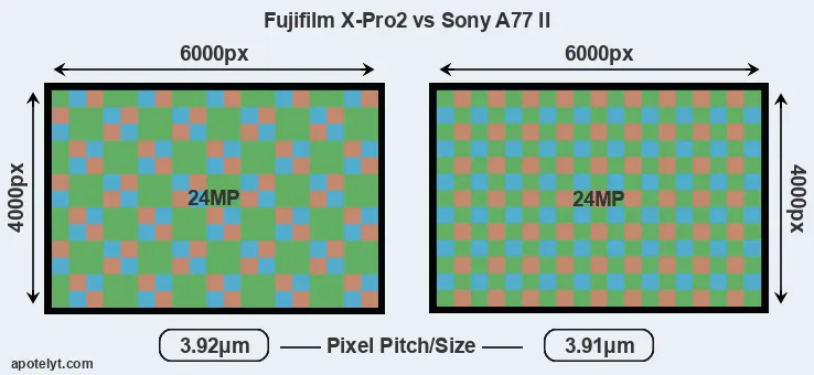 X-Pro2 versus A77 II MP