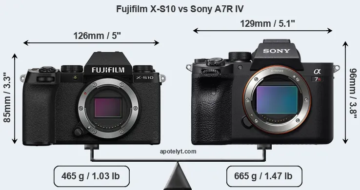 Size Fujifilm X-S10 vs Sony A7R IV